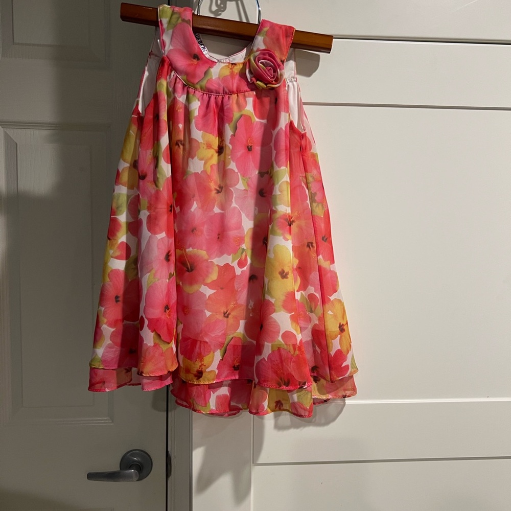 Blueberi Boulevard Gently used beautiful 3T dress